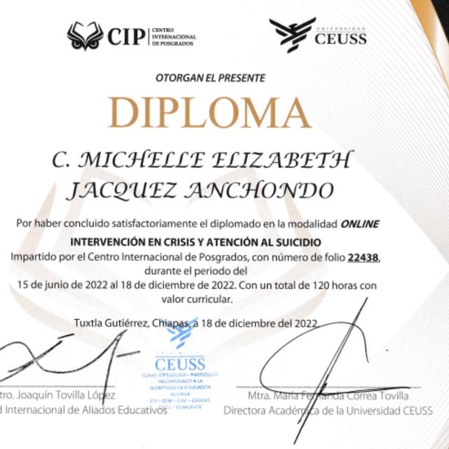 Ampliar imagen: certificate 21