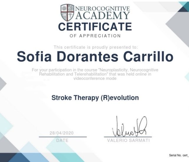 Ampliar imagen: certificate 7
