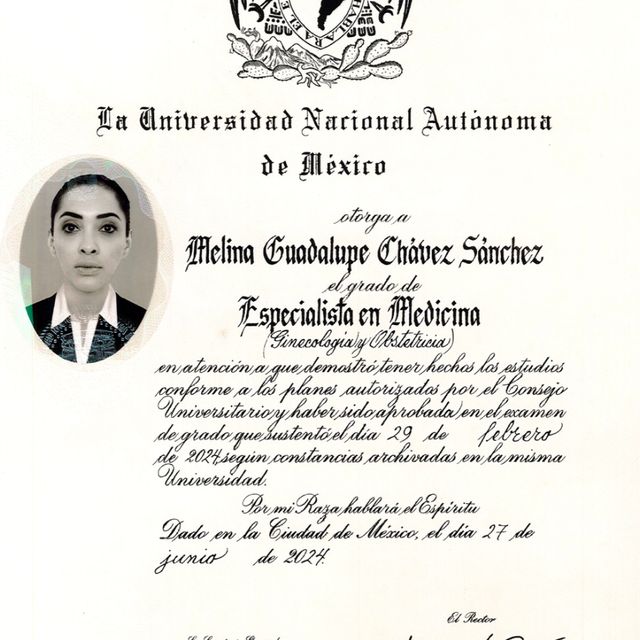 Ampliar imagen: certificate 4