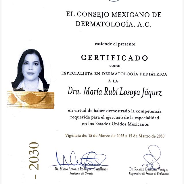 Ampliar imagen: certificate 4