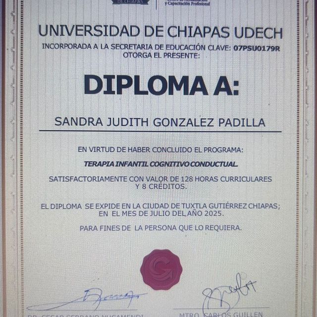 Ampliar imagen: certificate 1