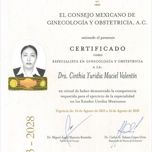 Ampliar imagen: certificate 2
