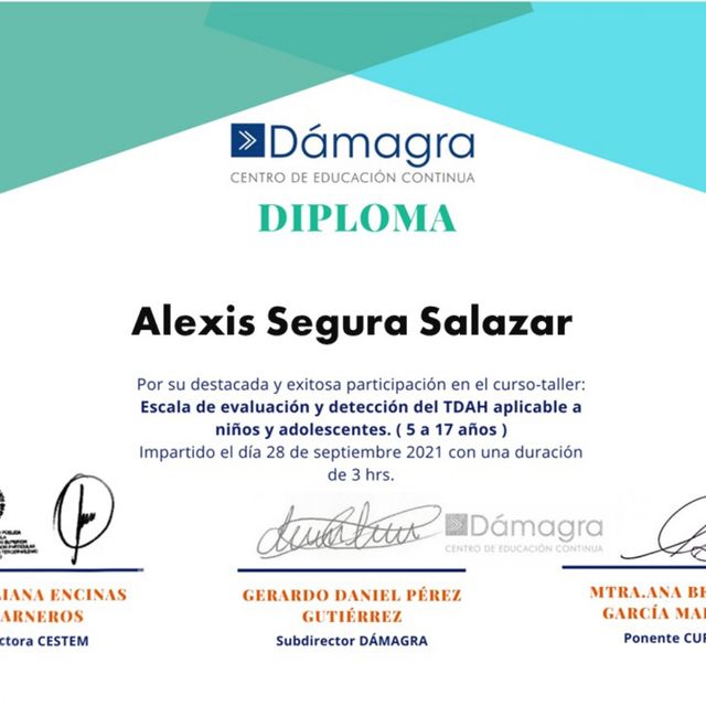 Ampliar imagen: certificate 7