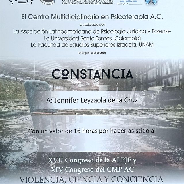 Ampliar imagen: certificate 13