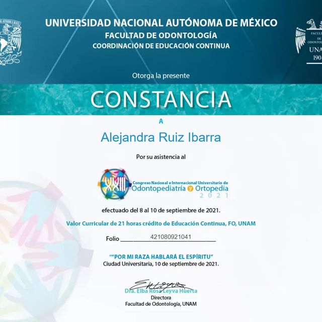 Ampliar imagen: certificate 2