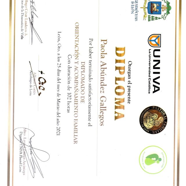 Ampliar imagen: certificate 3
