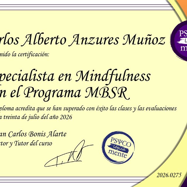 Ampliar imagen: certificate 21