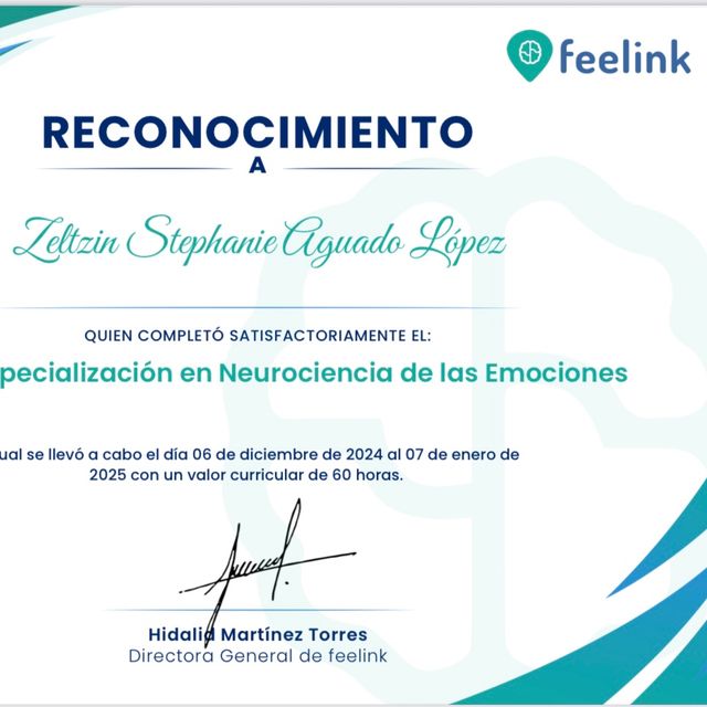 Ampliar imagen: certificate 4