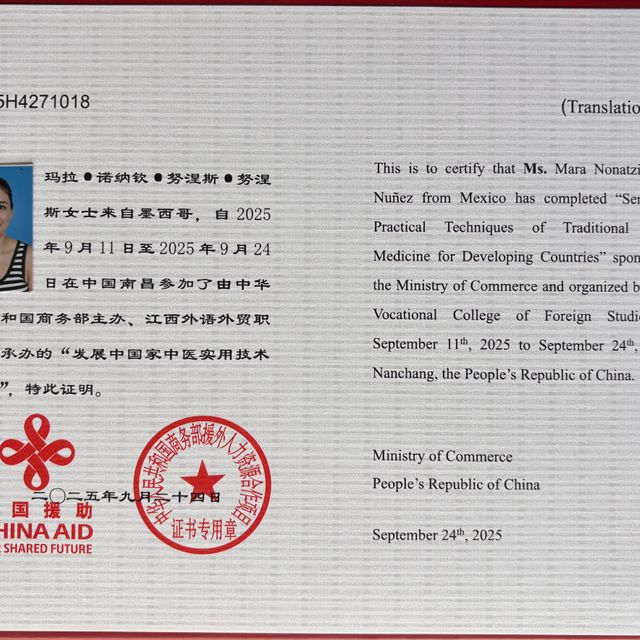 Ampliar imagen: certificate 4