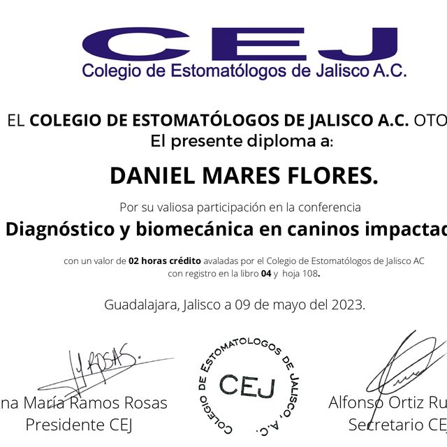 Ampliar imagen: certificate 1