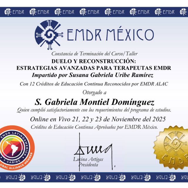 Ampliar imagen: certificate 24