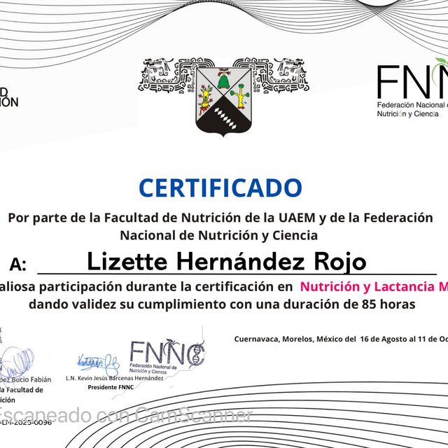 Ampliar imagen: certificate 2