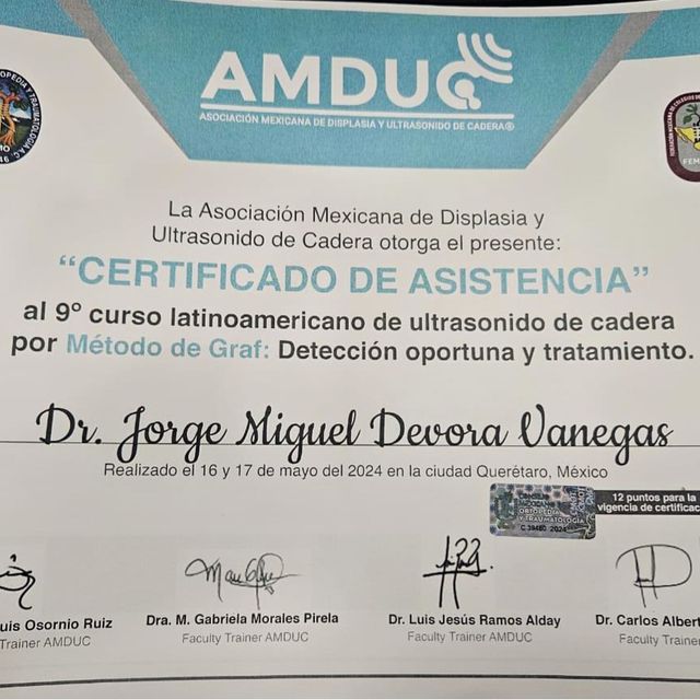 Ampliar imagen: certificate 3