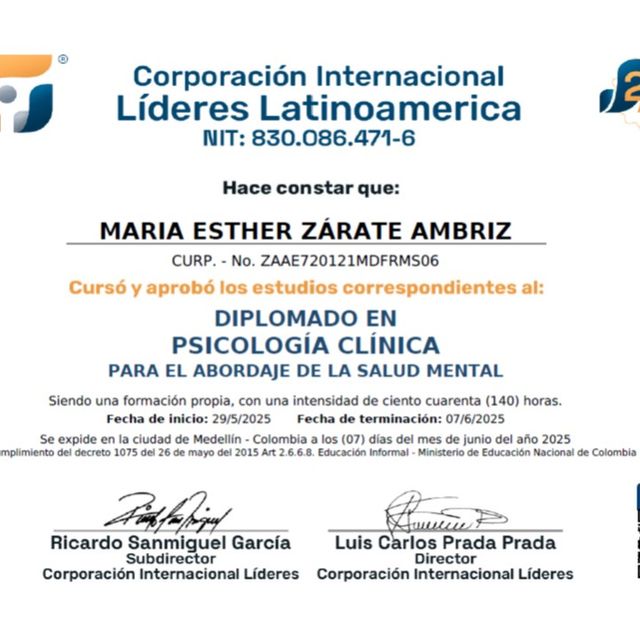 Ampliar imagen: certificate 4