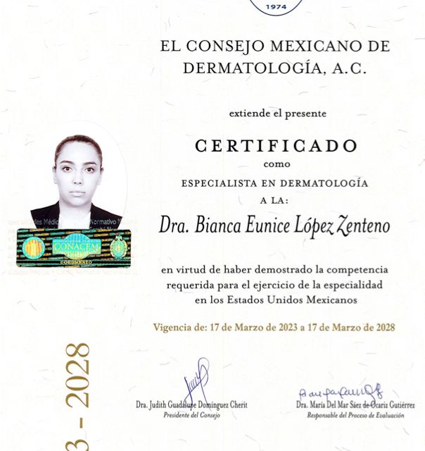 Ampliar imagen: certificate 3