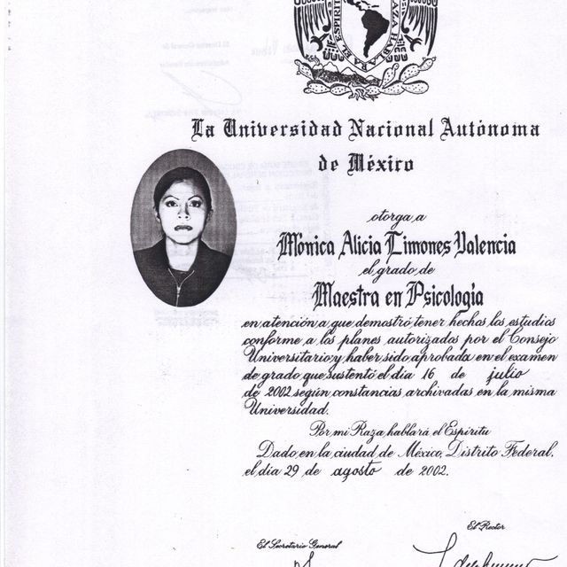 Ampliar imagen: certificate 3