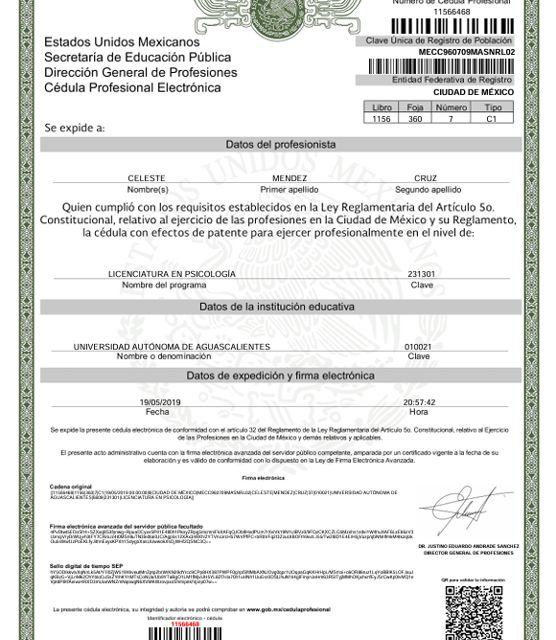 Ampliar imagen: certificate 3
