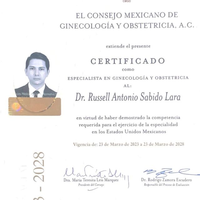 Ampliar imagen: certificate 1