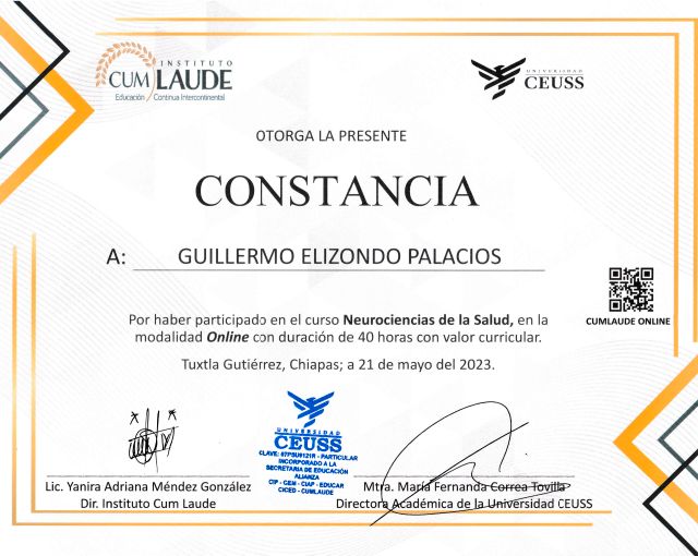 Ampliar imagen: certificate 5
