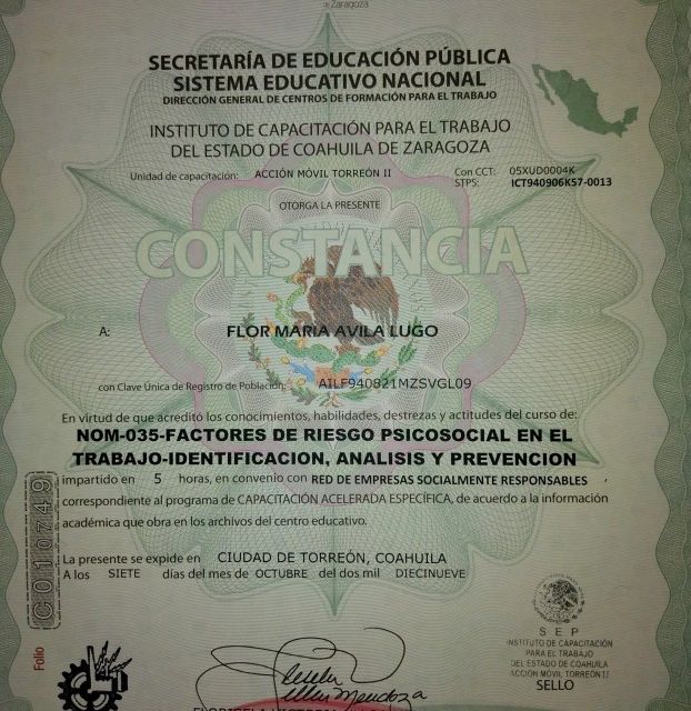Ampliar imagen: certificate 2