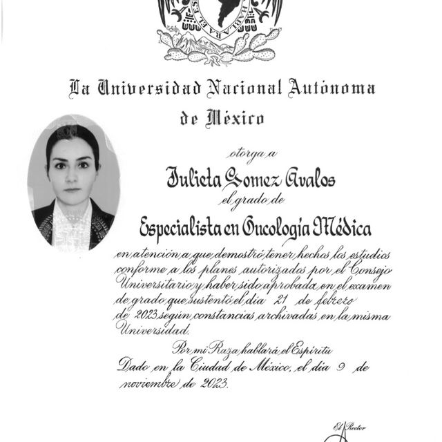 Ampliar imagen: certificate 4