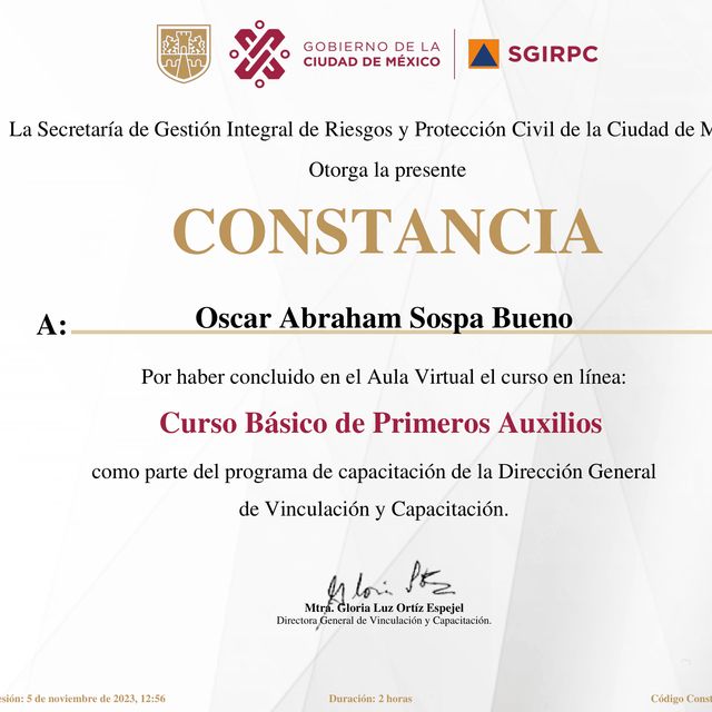 Ampliar imagen: certificate 3