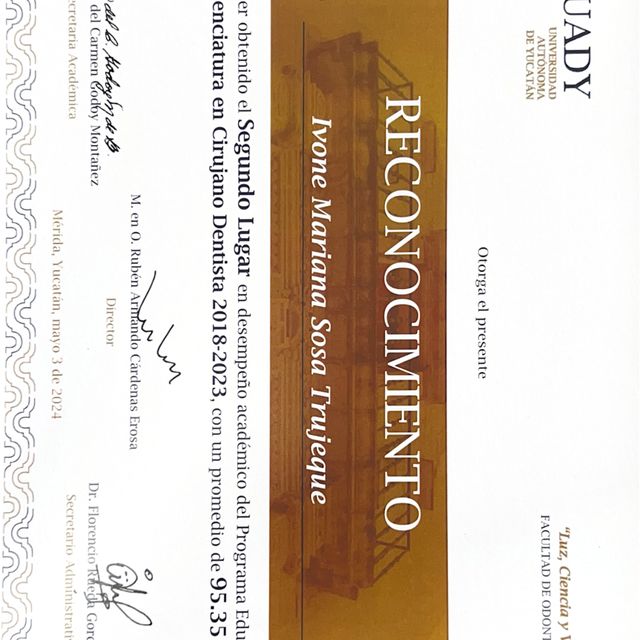 Ampliar imagen: certificate 2