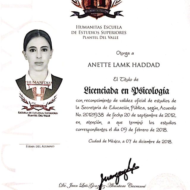 Ampliar imagen: certificate 4
