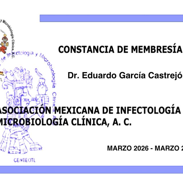 Ampliar imagen: certificate 5