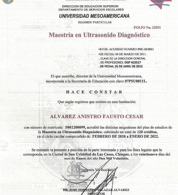 Ampliar imagen: certificate 1