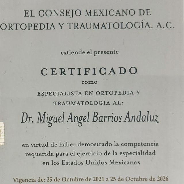 Ampliar imagen: certificate 2