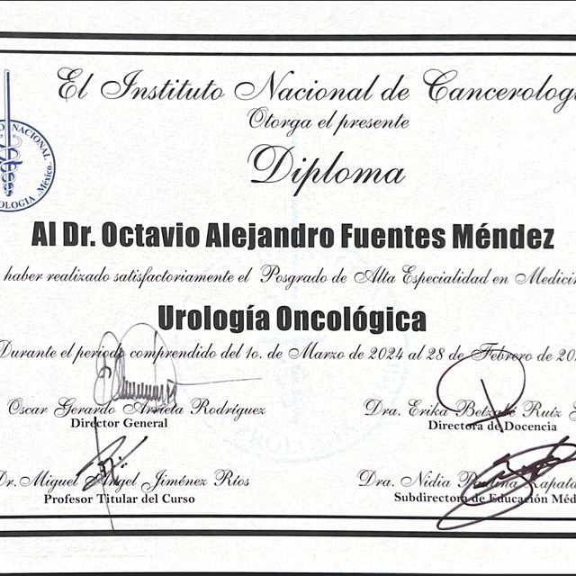 Ampliar imagen: certificate 6
