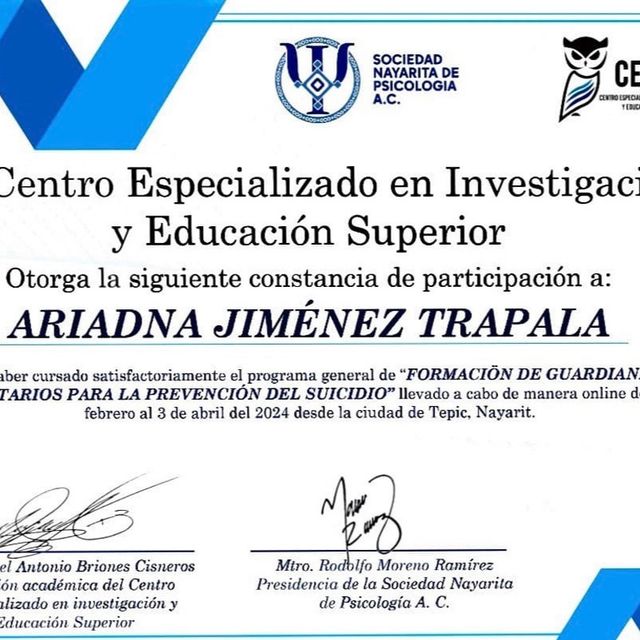 Ampliar imagen: certificate 8