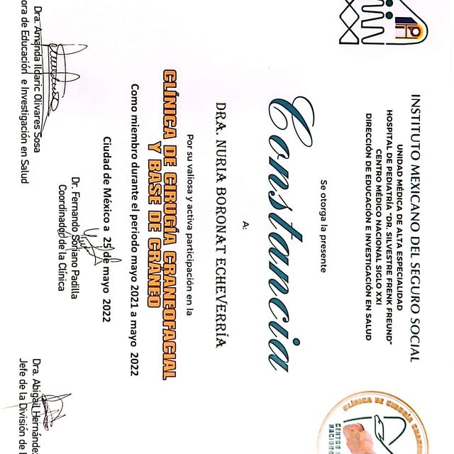 Ampliar imagen: certificate 16