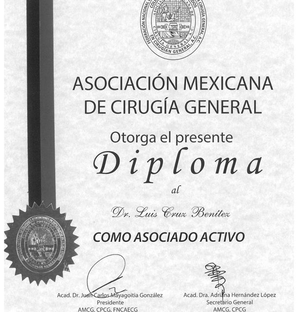 Ampliar imagen: certificate 3