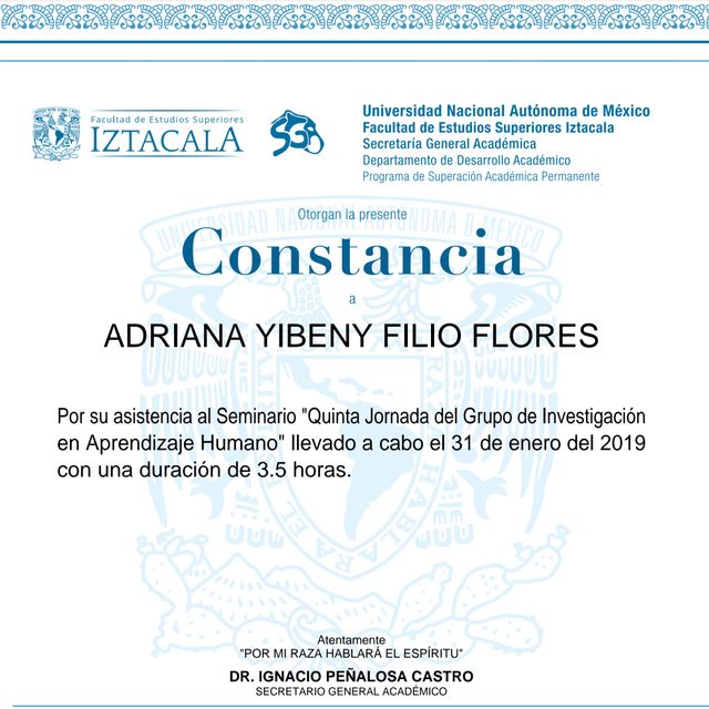 Ampliar imagen: certificate 3