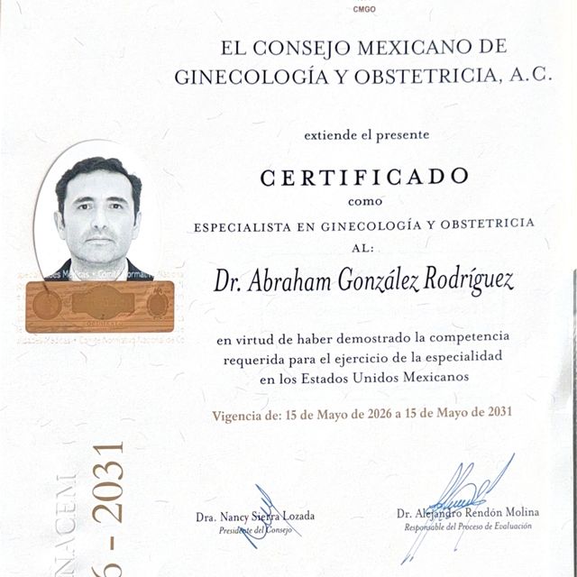 Ampliar imagen: certificate 7