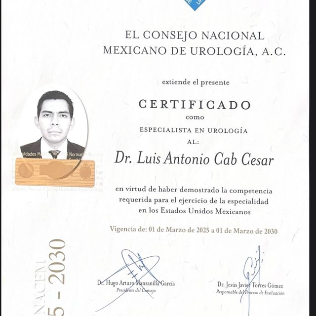 Ampliar imagen: certificate 1