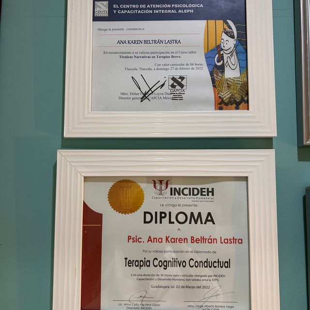 Ampliar imagen: certificate 5