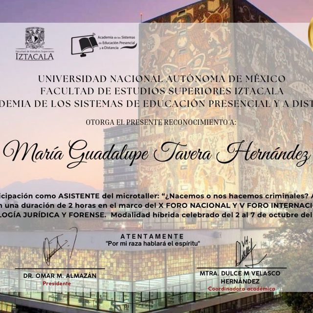 Ampliar imagen: certificate 56
