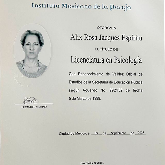 Ampliar imagen: certificate 2