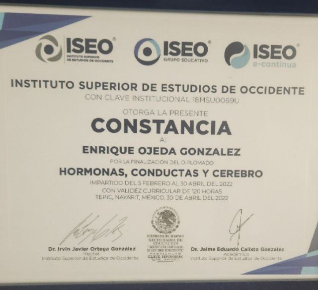 Ampliar imagen: certificate 3