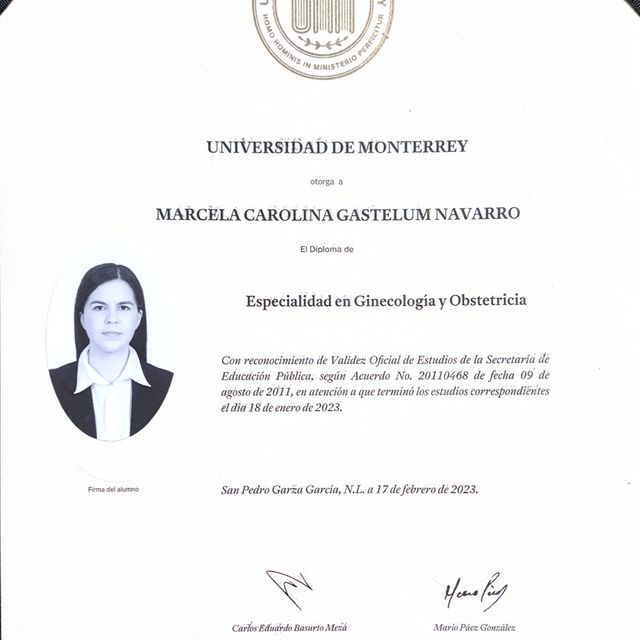 Ampliar imagen: certificate 5