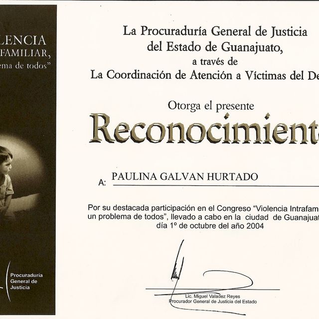 Ampliar imagen: certificate 3