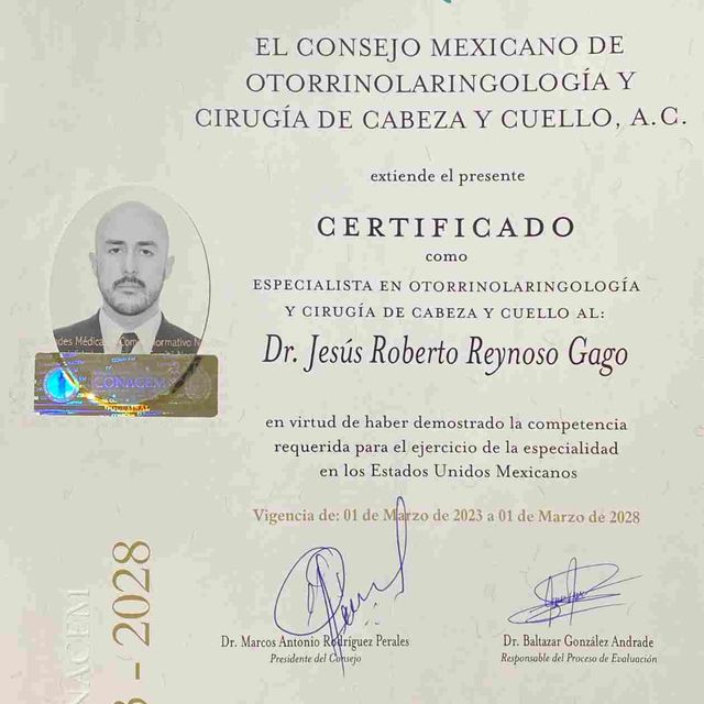 Ampliar imagen: certificate 3