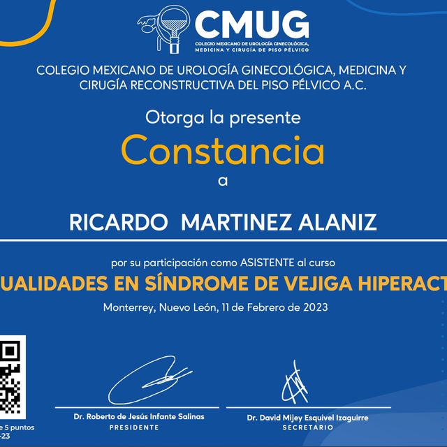 Ampliar imagen: certificate 12