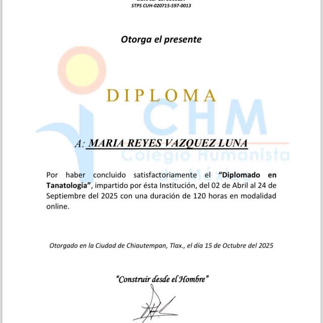 Ampliar imagen: certificate 3