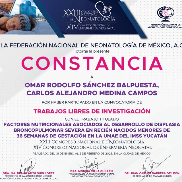 Ampliar imagen: certificate 3