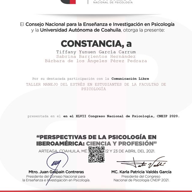Ampliar imagen: certificate 4
