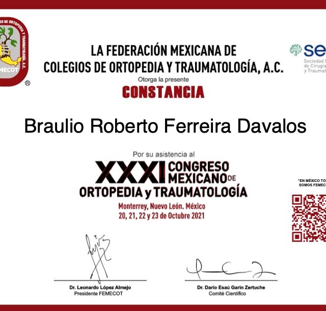 Ampliar imagen: certificate 7